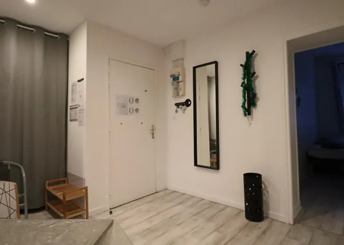 Appartement 3* Au Coeur Du Massif Du Sancy, Climatise, Jusqu'a 6 Personnes - Fr-1-858-38