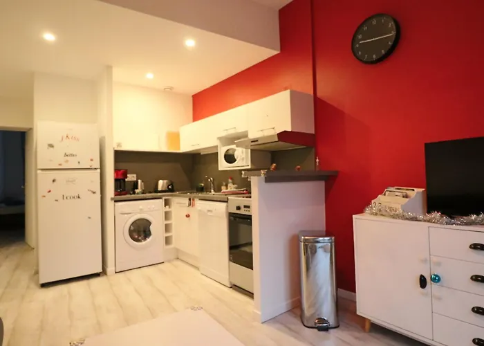 3* Au Coeur Du Massif Du Sancy, Climatise, Jusqu'a 6 Personnes - Fr-1-858-38 Appartement *