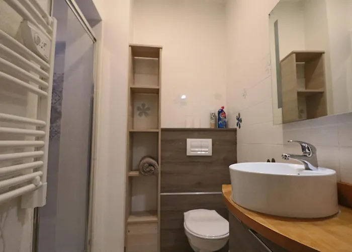 3* Au Coeur Du Massif Du Sancy, Climatise, Jusqu'a 6 Personnes - Fr-1-858-38 Apartment