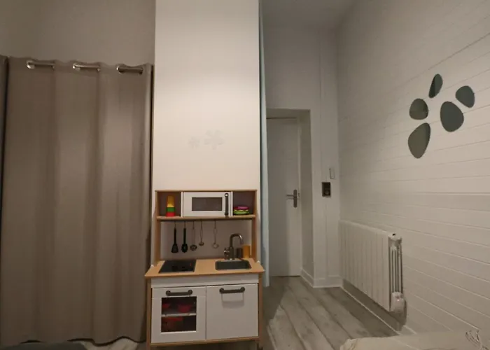 3* Au Coeur Du Massif Du Sancy, Climatise, Jusqu'a 6 Personnes - Fr-1-858-38 Apartment La Bourboule